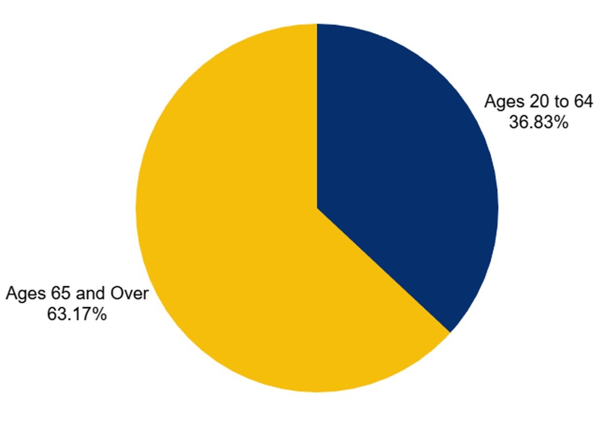 Percent of Elderly Cancer chart