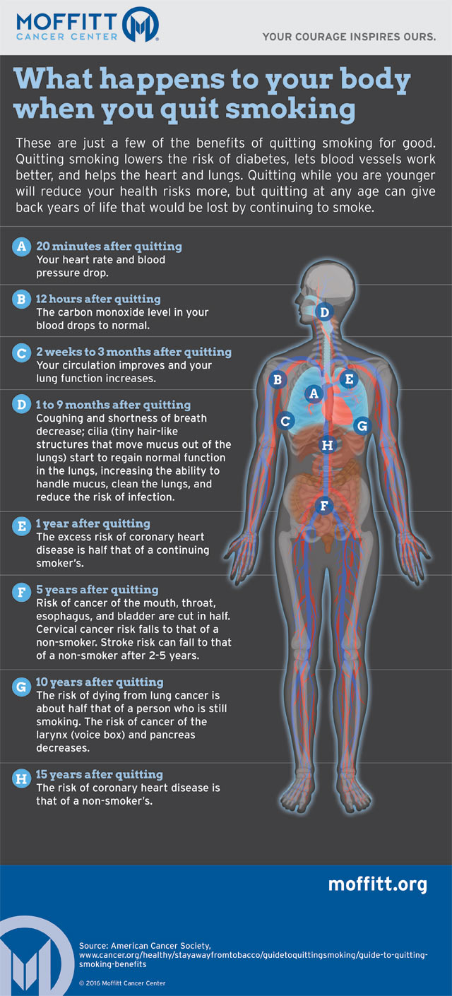Infographic on quitting smoking