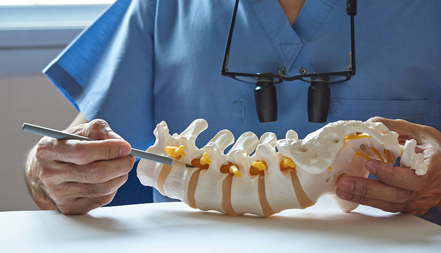 A neurosurgeon using pencil pointing at lumbar vertebra model in medical office