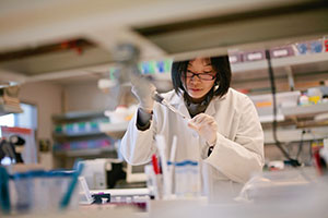Researcher in the lab studying stem cells
