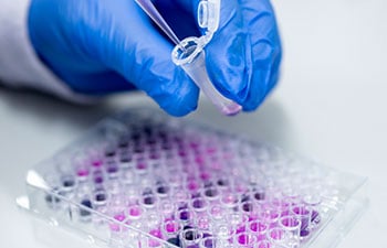 tissue sample markers