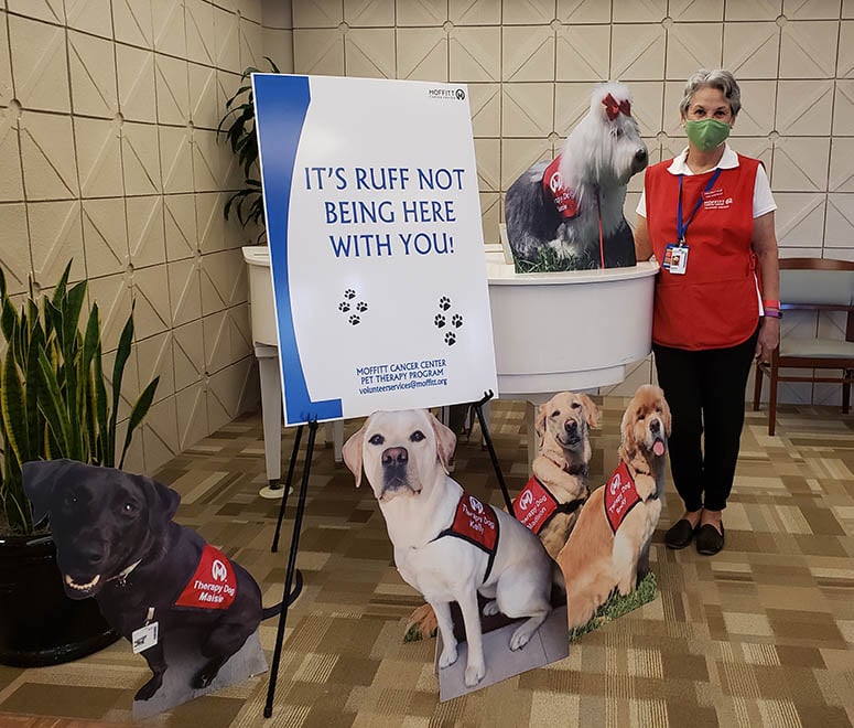 Volunteer Tina Costello poses with the cardboard pet therapy dog cut outs in Moffitt's main lobby.