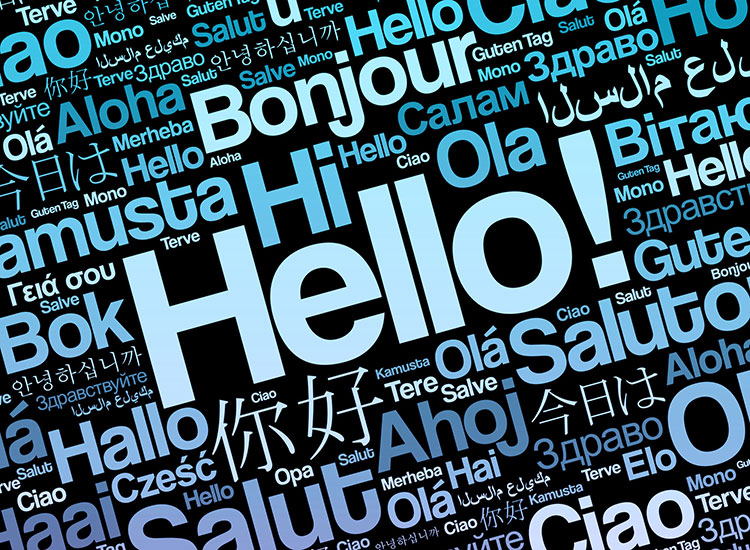 graphic with words in different languages
