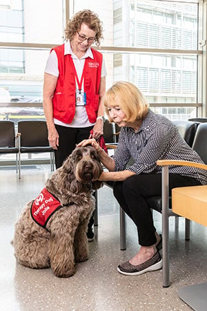 a therapy dog with owner and a patient