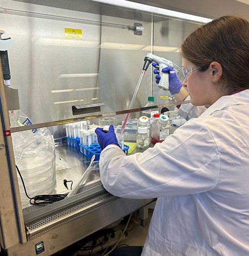 SPARK intern eligible for program