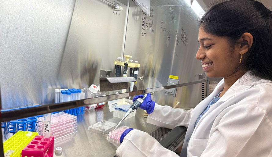 How to apply to SPARK